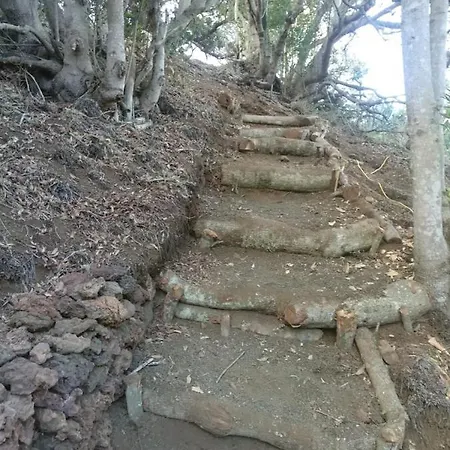 La Limera Casa de Férias Mocanal